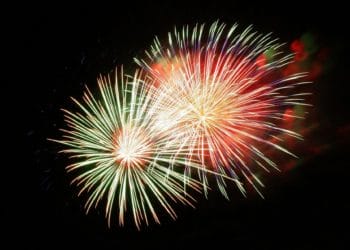 woodley earley lions