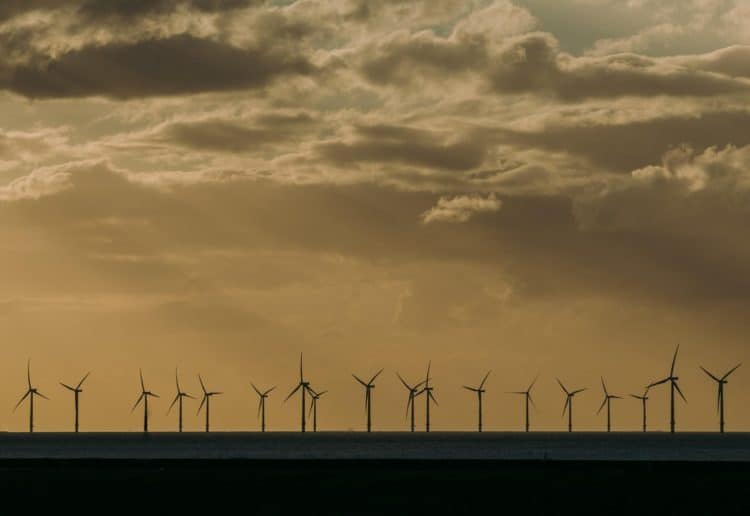 wind farm