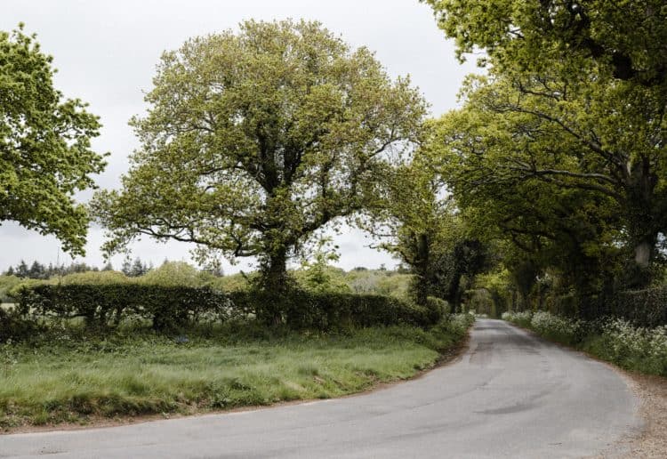 Rural roads such as this one account for more accident fatalities than urban roads. Picture: Annie Spratt on Unsplash.