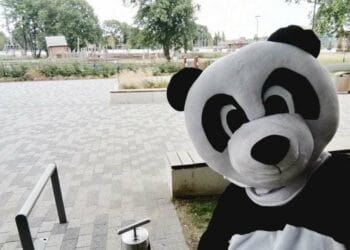 Earley Panda is cycling from London to Paris