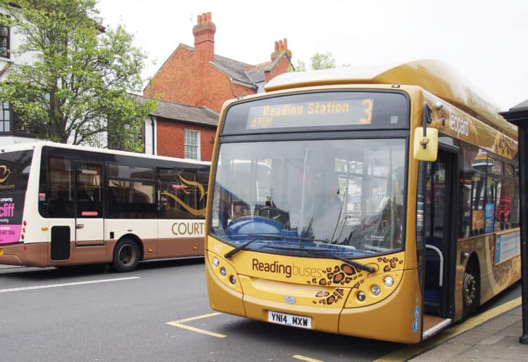 bus