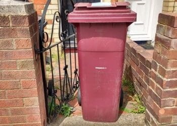 bin
