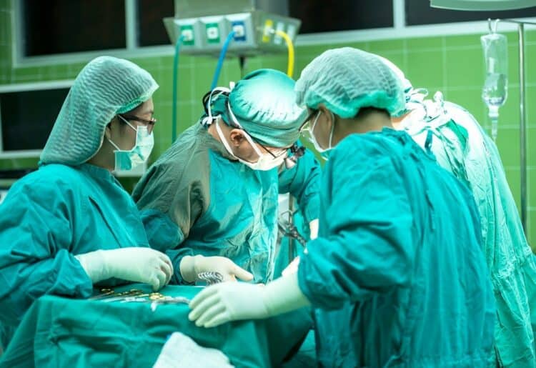 organ donors