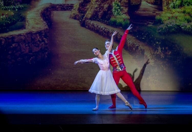 Swan Lake