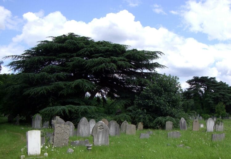 reading's old cemetery