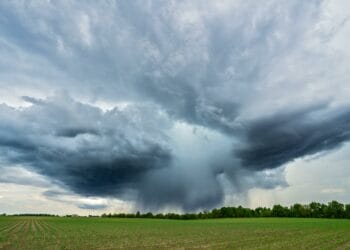 Storm clouds gathered.