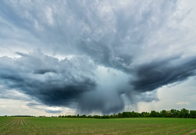 Storm clouds gathered.