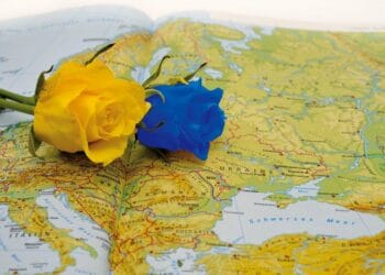 A Blue flower and a yellow flower, laying on a map