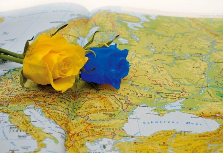 A Blue flower and a yellow flower, laying on a map