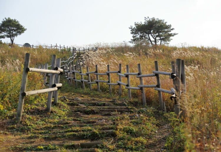 countryside
