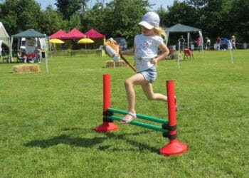 hobby horse jumping