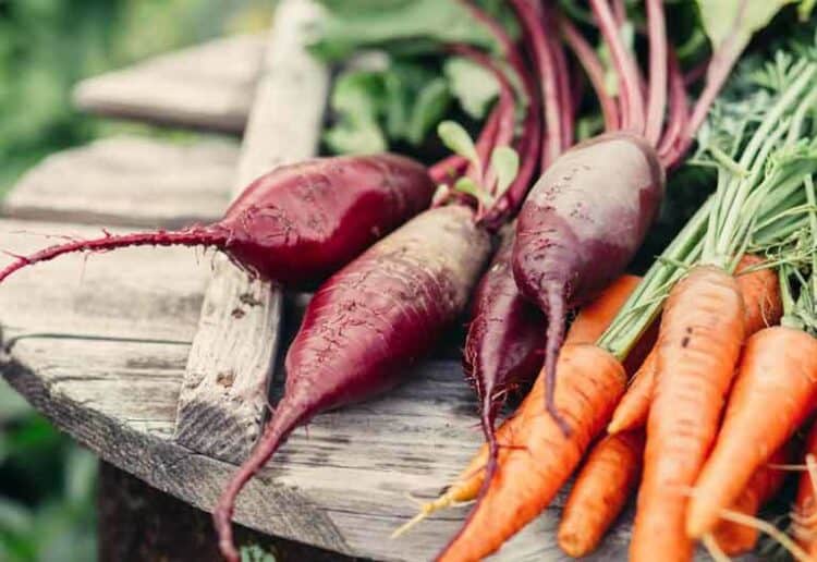 veg