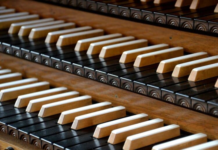 willis organ
