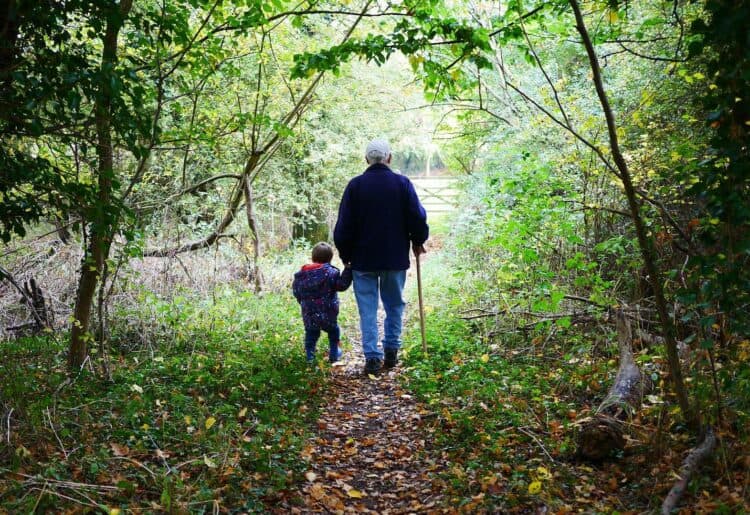A walk in the woods Picture: emailme3 from Pixabay