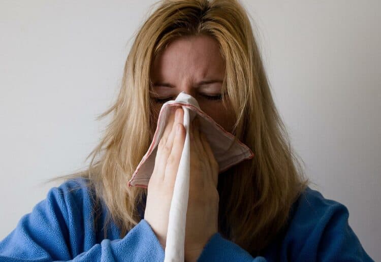 hayfever