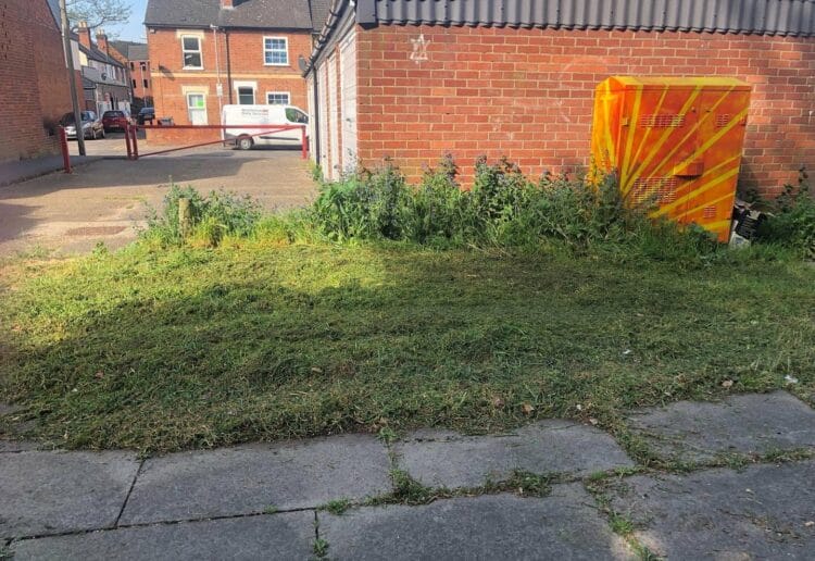 grass