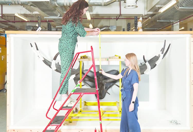 The Natural History Museum is set to open a state-of-the-art research centre in Thames Valley Science Park, Shinfield Picture courtesy of: University of Reading