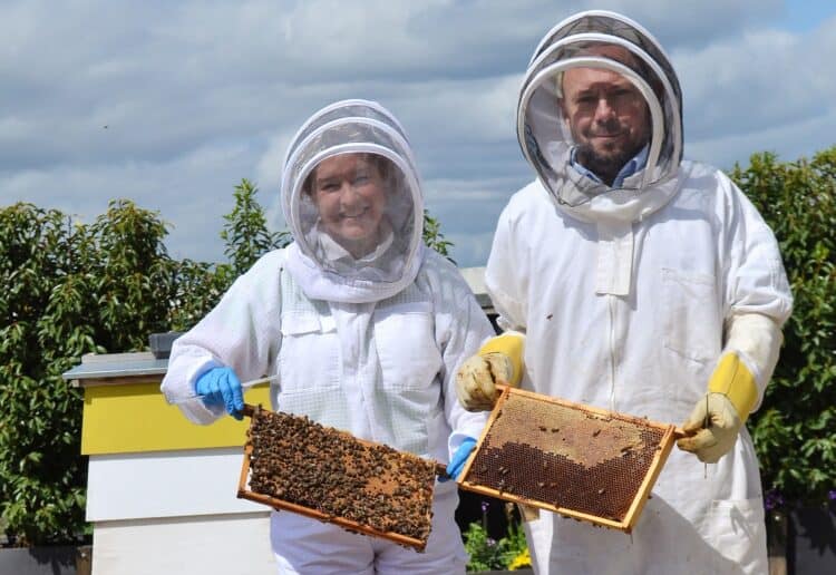 The Lexicon pollinators programme has seen three hives planted on the roof of Princess Square