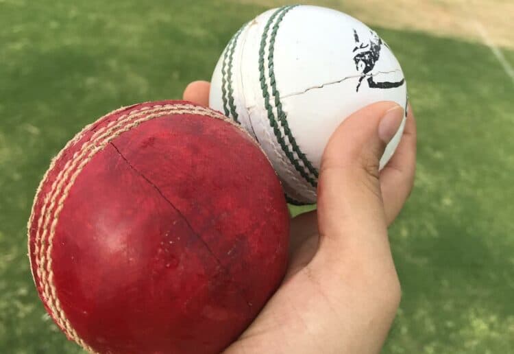 Cricket Picture: Pixabay