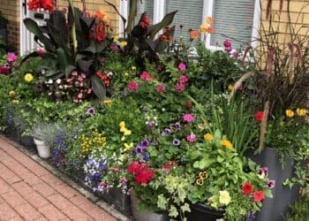 reading horticulturists