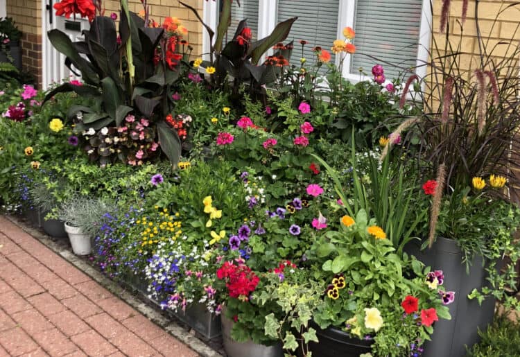 reading horticulturists