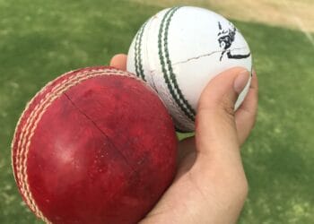 Cricket Picture: Pixabay