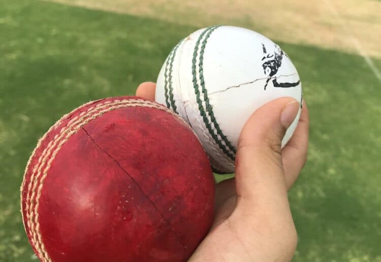 Cricket Picture: Pixabay