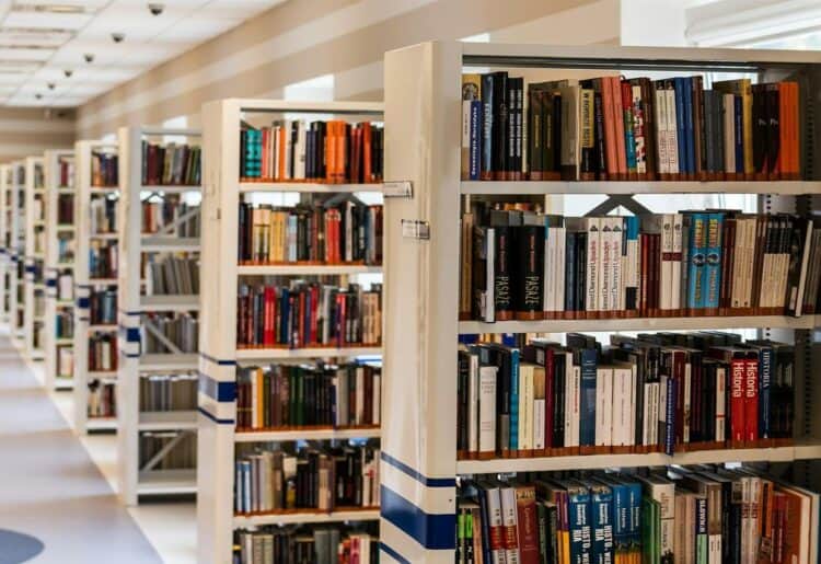 Reading library services are offering young readers the opportunity to gain some summer work experience Picture: Michal Jarmoluk via Pixabay