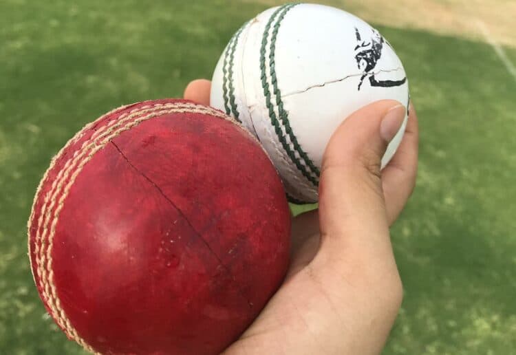 Cricket picture: Pixabay