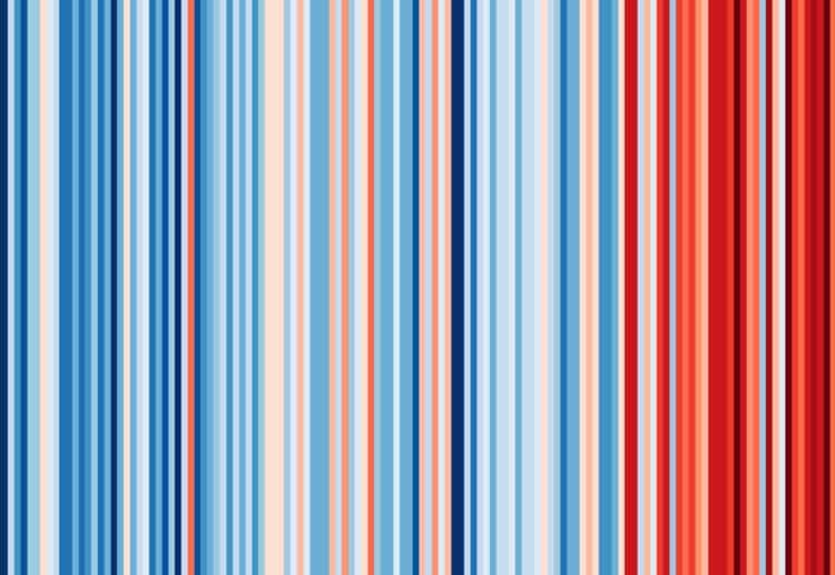 The Berkshire stripes Picture: University of Reading
