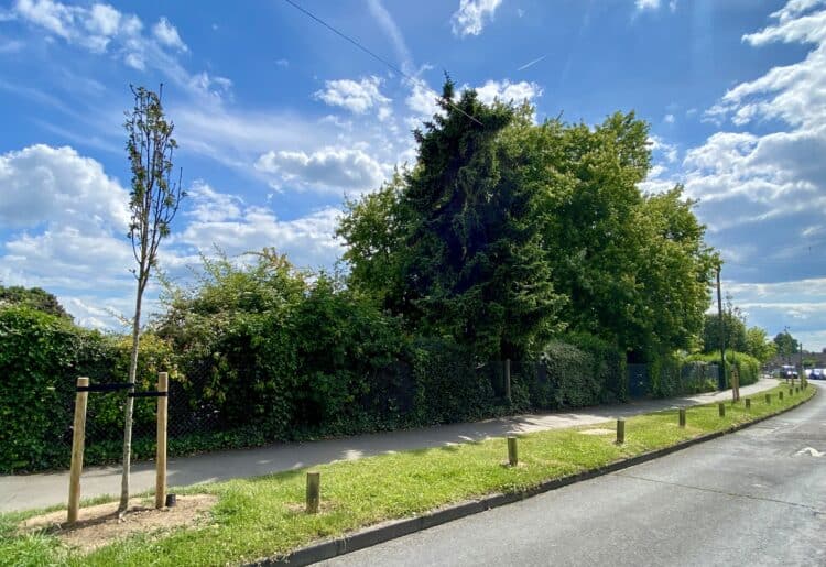 A total of six new trees have been planted in Reading by Lincoln MGT, with four more yet to be planted. Picture: Courtesy of Redwood Consulting.