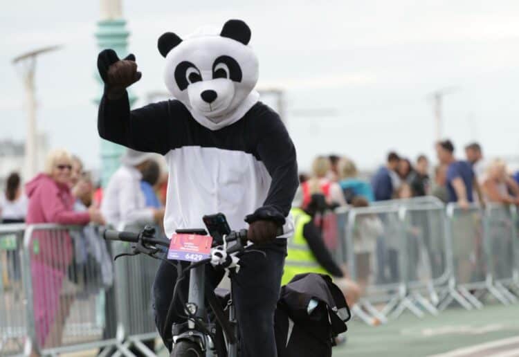 Earley Panda