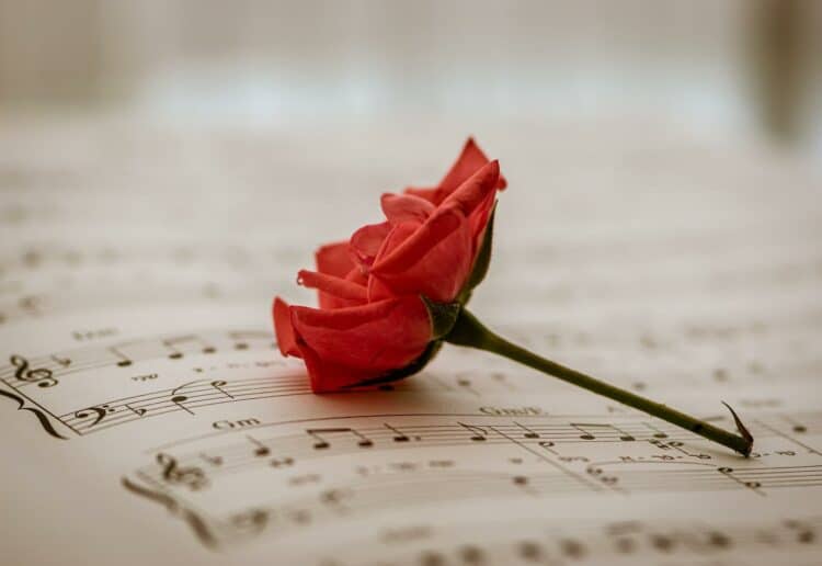 rose