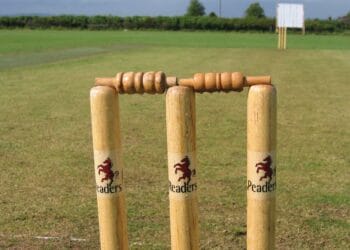 Cricket Picture: Pixabay