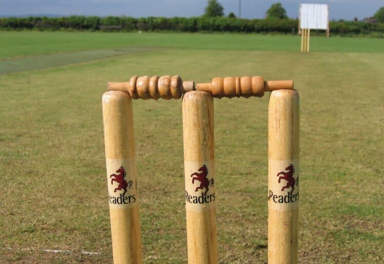 Cricket Picture: Pixabay