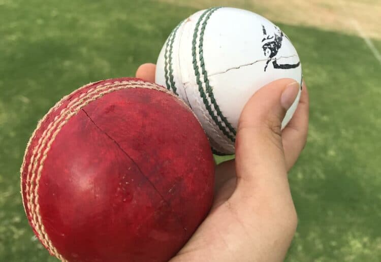 Cricket Picture: Pixabay