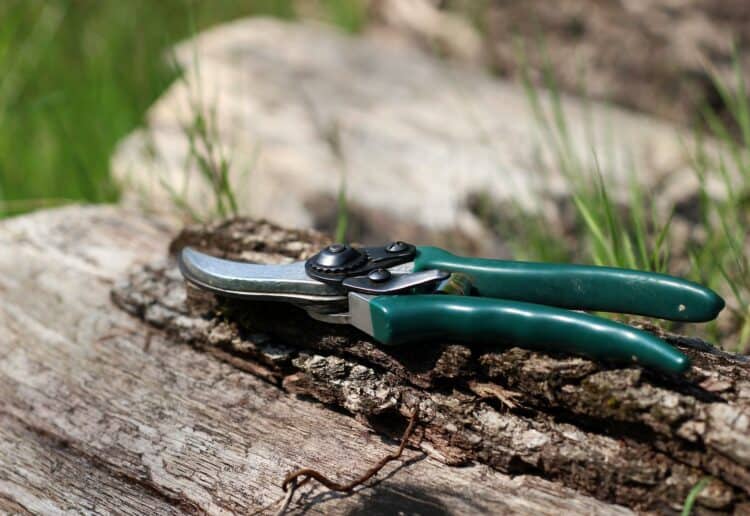 Garden Shears