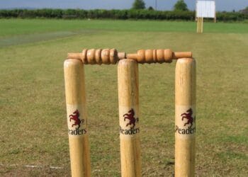 Cricket Picture: Pixabay