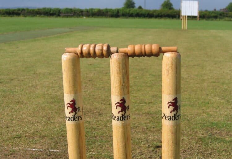 Cricket Picture: Pixabay