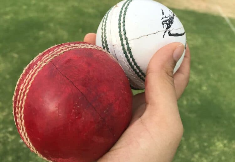Cricket Picture: Pixabay