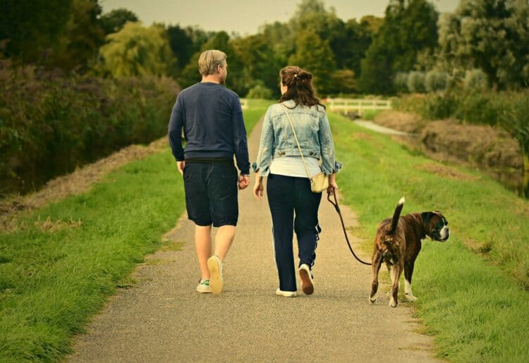 Walks can be one way to find joy in everyday life Picture: Pixabay