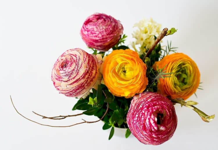 flowers