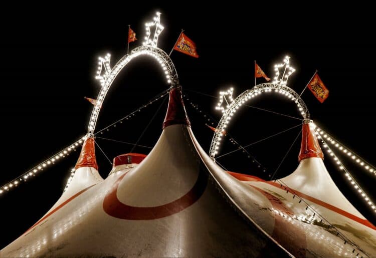 Circus Zyair will set up shop, and big top, at Prospect Park from Friday, July 29, to Tuesday, August 2. Picture Leonhard Niederwimmer via Pixabay