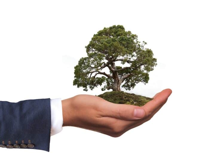 The Diocese of Oxford has received an eco-friendly Picture: Gerd Altmann from Pixabay