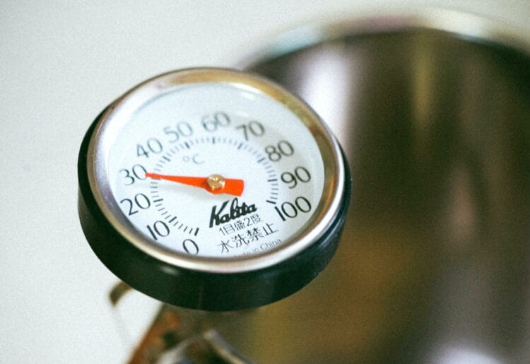 Temperatures are expected to sit between the high 20s and low 30s between July 29 and August 4, according to University of Reading researcher Helen Griffith. Picture: Manki Kim