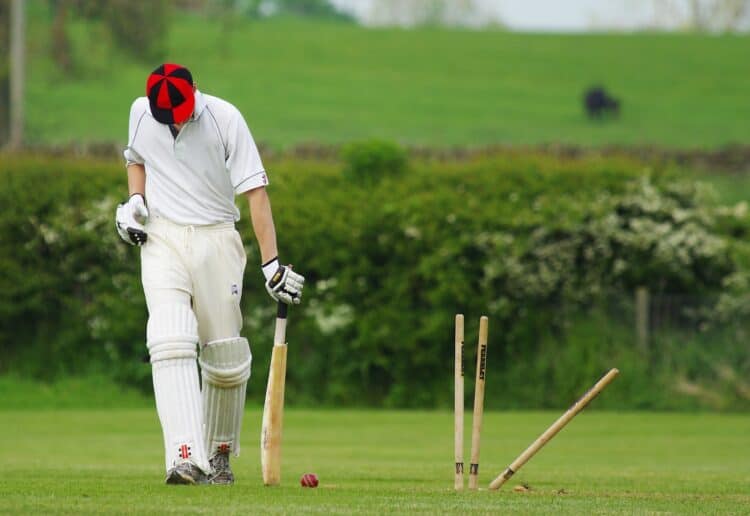 Cricket Picture: Pixabay - Lisa Scott