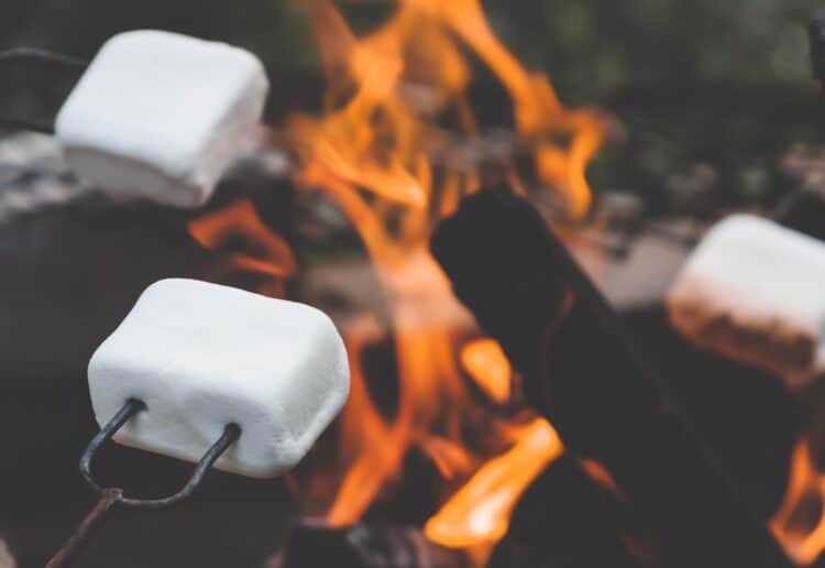 A chance to toast marshmallows is coming to Woodley this weekend Picture: Oskari from Pixabay