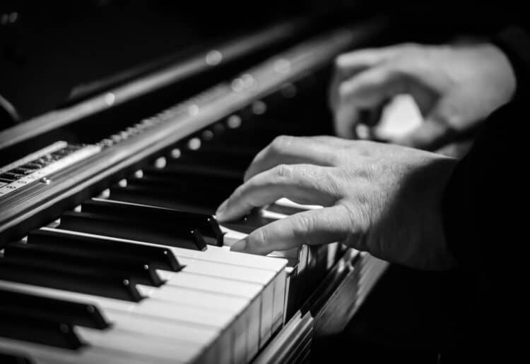 The Botanist is holding music nights on Thursdays Picture: Thomas from Pixabay