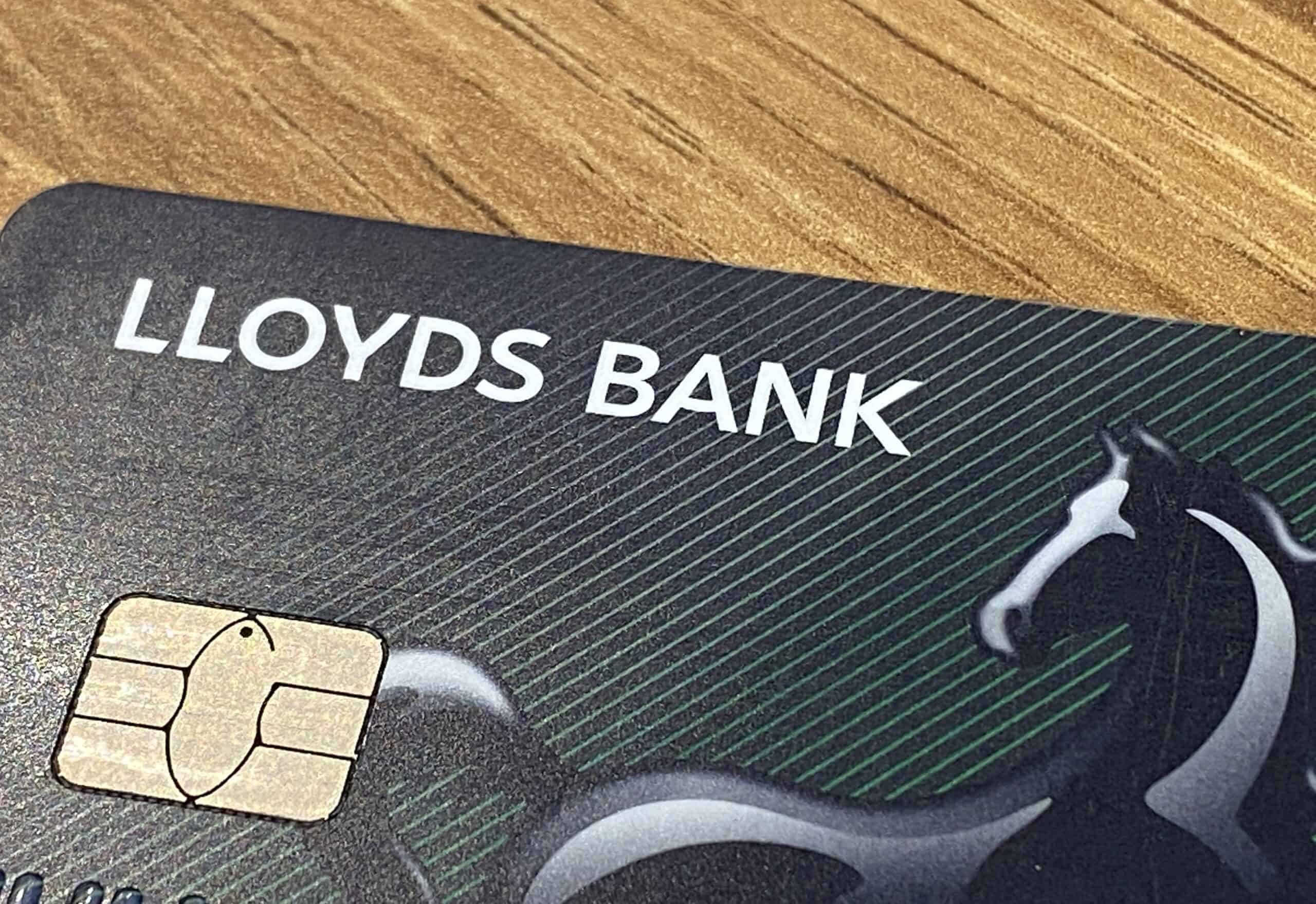are dogs allowed in lloyds bank