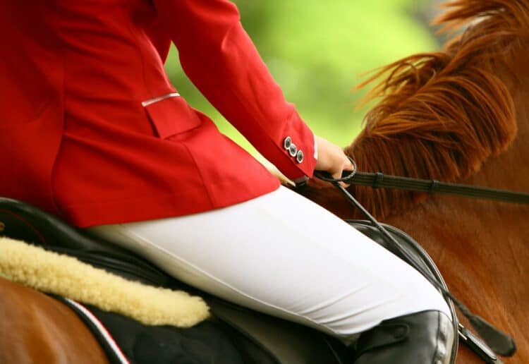 The Wellington International Horse Trials & Country Fair will take place over the August bank holiday weekend Picture: romavor from Pixabay